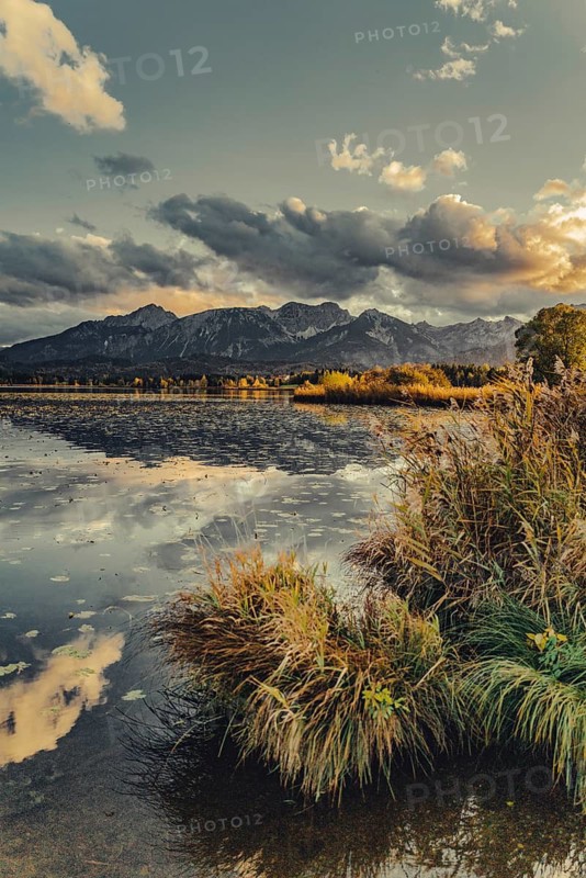 Lake Hopfensee in the Allgäu in autumn with warm sunset light against a picturesque Alpine backdrop, Bavaria, Germany
