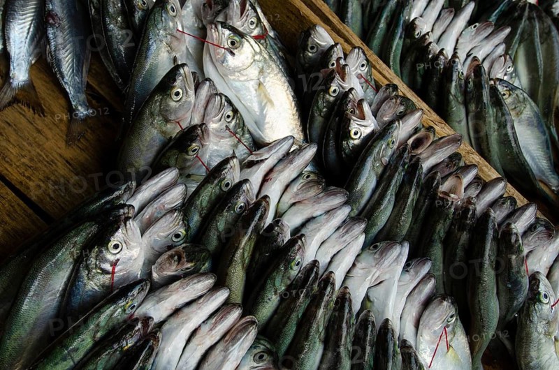 Trabzon, Turkey. September 8th 2014 Fish from the Black Sea for sale in Trabzon fish market, Eastern Turkey