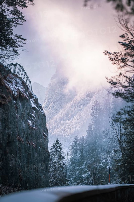 Winter scene with snow-covered trees and a mountain in the fog at dawn, Alpenstraße, Bad Reichenhall, Germany