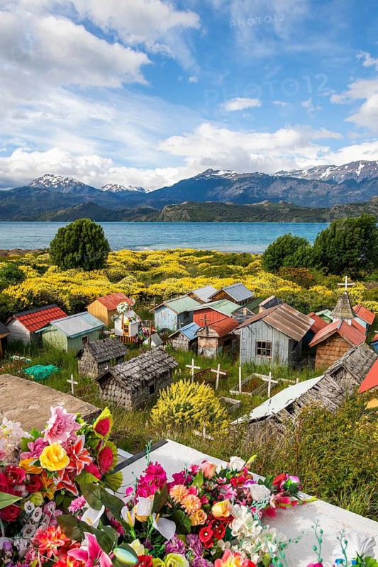 Colourful plastic flowers and graves with miniature houses made of corrugated iron and wooden shingles amidst yellow blooming lupines on the beach of Lago General Carrera, also known as Lago Chelenko, snow-capped mountains in the background, cemetery of Puerto Hyphessobrycon bifasciatus Tranquilo, Aysen region, Patagonia, Chile