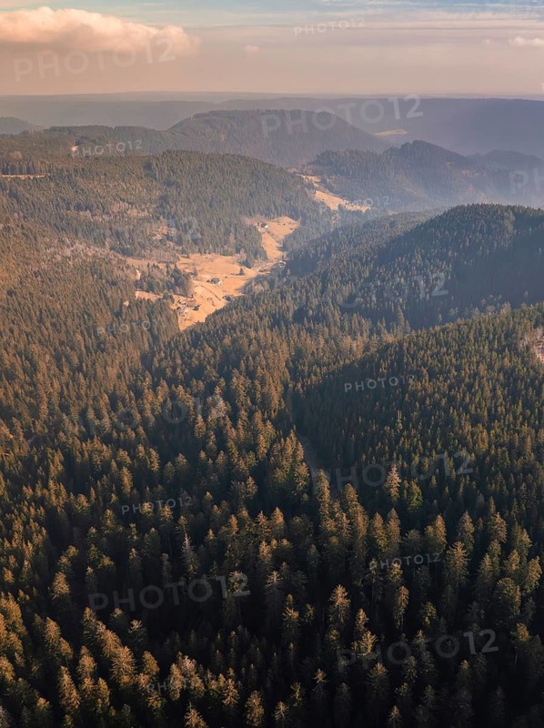 Hilly landscape with dense forest and light coming in from the distance, district of Calw, Black Forest, Germany
