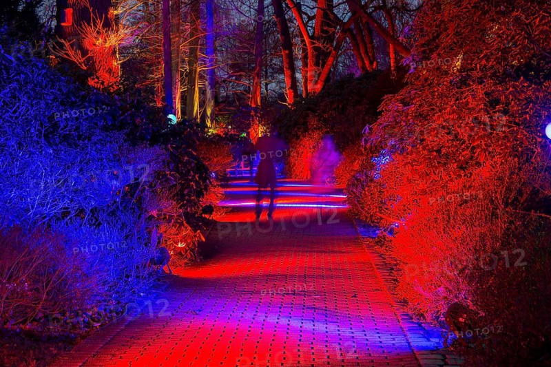 Winter lights in Luisenpark in Mannheim. Every year in January and early February, the park is extensively illuminated at dark