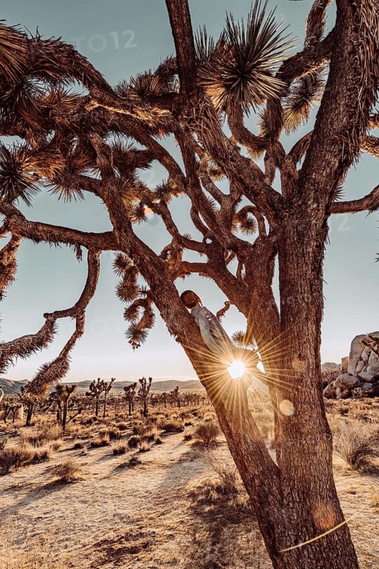 Woman at sunset in Joshua Tree National Park