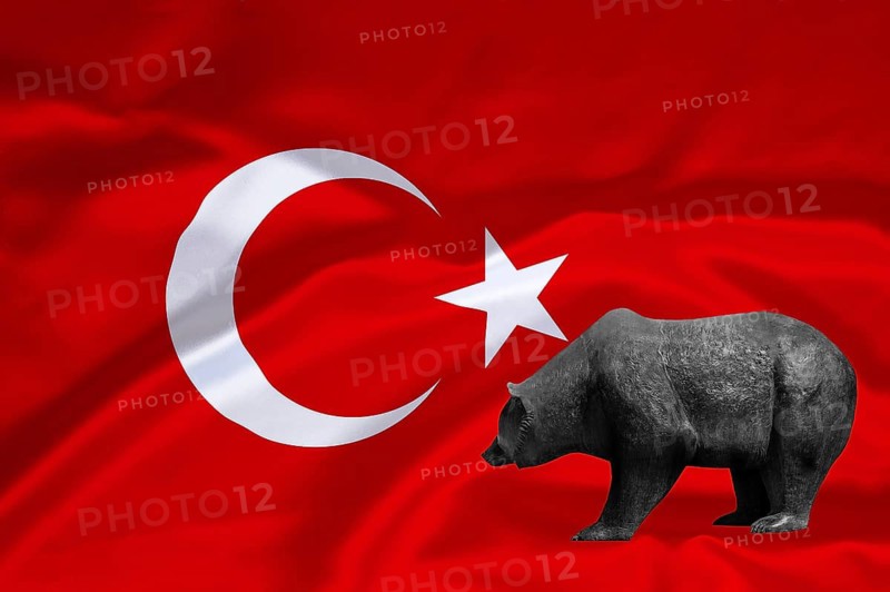 Stock market, stock prices in Turkey, bear market, falling prices, flag, national flag, bear, bull and bear, symbolic figures of the stock exchange, Turkey, Turkey, studio recording, Federal Republic of Germany
