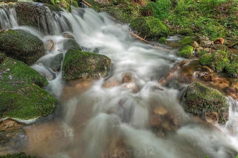 Water in a stream flows across moss-covered rocks. The scene is set in the forest in spring, with soft light streaming through the trees. Vosges, France