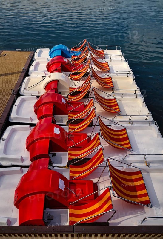 Colorful paddleboats, rental boats, boat rental, boat rental, Bregenz, Vorarlberg, Lake Constance, Austria