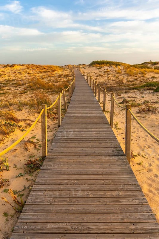 Wooden boardwalk path extending into the distance, guiding towards a beach or horizon through golden sand dunes under a soft evening light, illustrating travel and journey