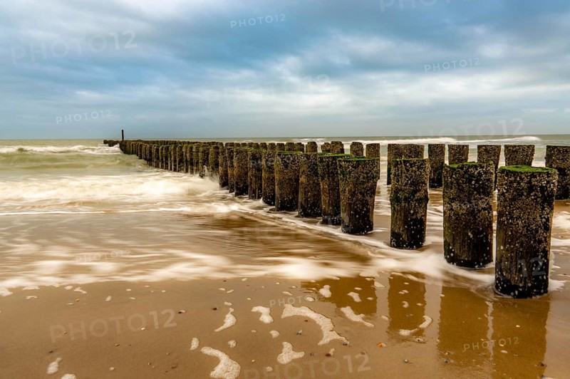 Coastal protection, through wooden posts, paalhoofden, on the beach, breakwater, the piles, some of which are rammed into the sandy soil in double rows, slow down the waves and ocean currents and thus slow down the flow rate of seawater, so less sand is washed away from the stand, near Domburg, Walcheren peninsula in the Dutch province of Zeeland