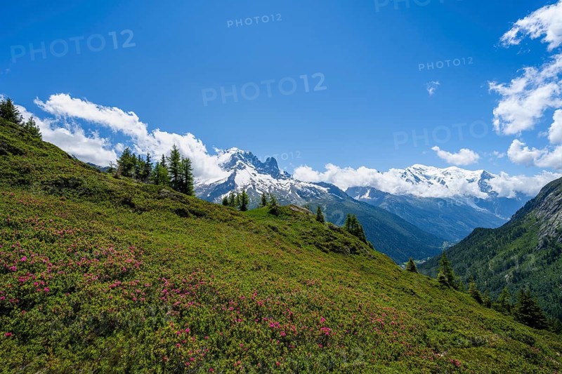 Mountain panorama with glaciated mountain peaks, Aiguille du Midi and Mont Blanc, hiking to Aiguillette des Posettes, Chamonix, Haute-Savoie, France