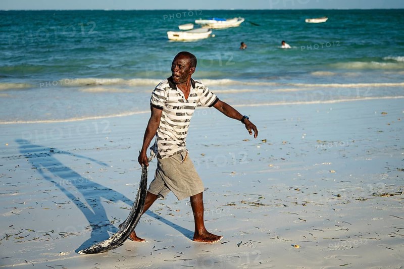 PAJE, ZANZIBAR - OCTOBER 18, 2025: A local fisherman walking along the tropical beach of Zanzibar, carrying a large fish caught in the turquoise waters of the Indian Ocean