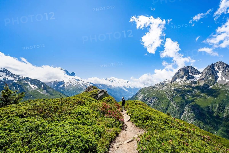 Mountaineers on hiking trail, mountain panorama with glaciated mountain peaks, Aiguille du Midi and Mont Blanc, Aiguille de Mesure and Aiguille de Chamois, hiking to Aiguillette des Posettes, Chamonix, Haute-Savoie, France