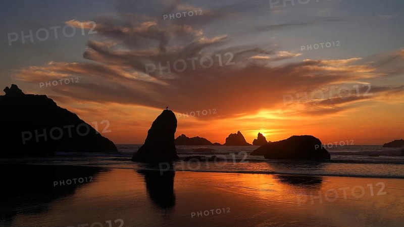 USA, Bandon, Oregon, Facerock Beach, Pacific Ocean, Bandon, Oregon, USA