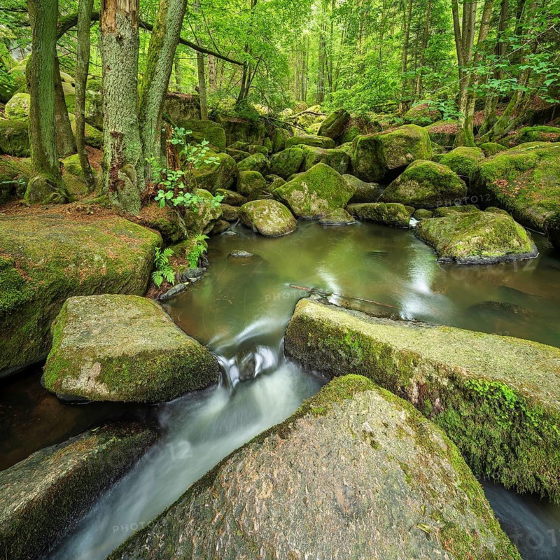 The Höllbach in the Hölle Nature Reserve flows through green forest and large moss-covered rocks, near Rettenbach, Upper Palatinate, Bavaria, Germany