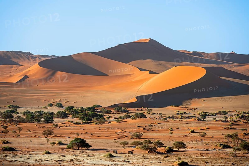 Red sand dunes, Sossusvlei region, Namib Desert, Namib-Naukluft National Park, Namibia