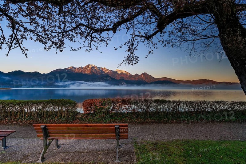 Lake, reflection, bench, tree, park bench, fog, sunrise, morning mood, mountains, mountainscape, spring, Lake Kochel, behind Herzogstand, Heimgarten, Kochel, Alpine foothills, Bavaria, Germany