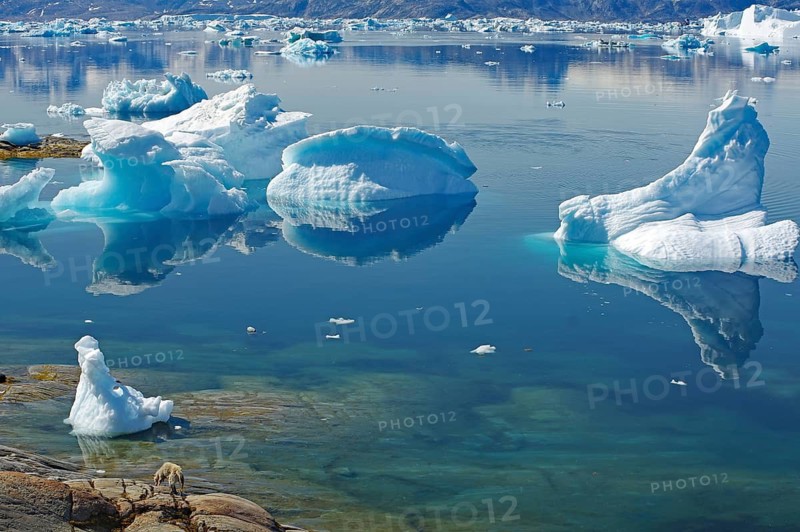 Majestic icebergs reflected in calm water, Tiniteqilaaq, Tasilaq, Arctic, Greenland, Denmark