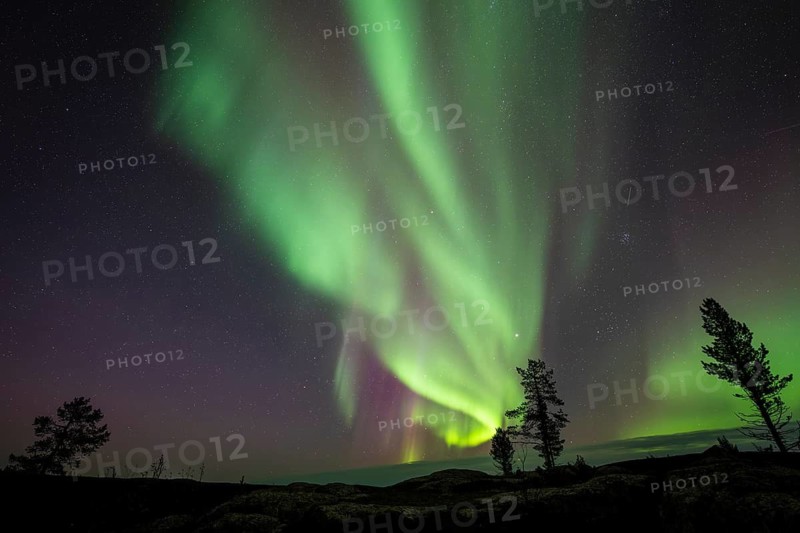Northern Lights (Aurora borealis), Norrbotten, Lapland, Sweden, September 2024