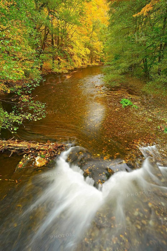 Autumn on the Schwarza river in the Schwarzatal valley between Bad Blankenburg and Schwarzburg, Thuringia, Germany
