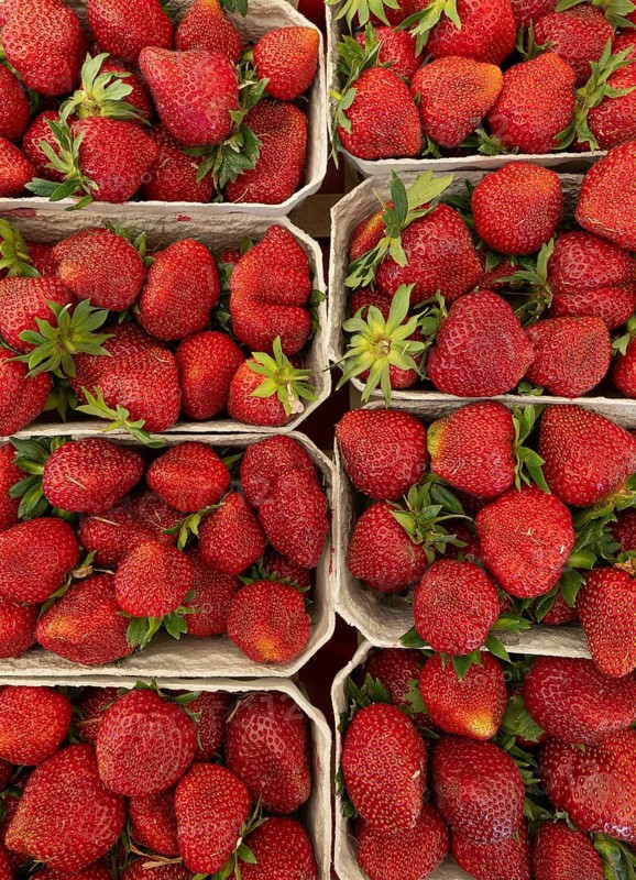 Freshly harvested red strawberries in cardboard punnets at a market stall. Local seasonal fruit from Germany, Baden-Wuerttemberg