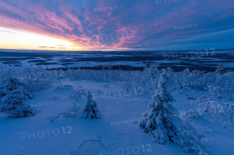 Dusk over marshland, Sjaunja Nature Reserve, Laponia World Heritage Site, Norrbotten, Lapland, Sweden, November 2020