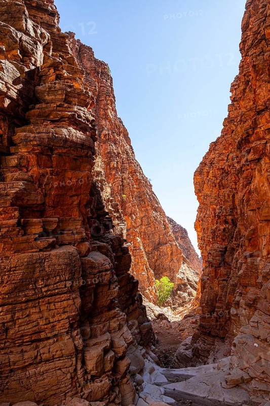 Olive trail, gorge, Naukluft Mountains landscape, Namib-Naukluft Park, Hardap, Namibia