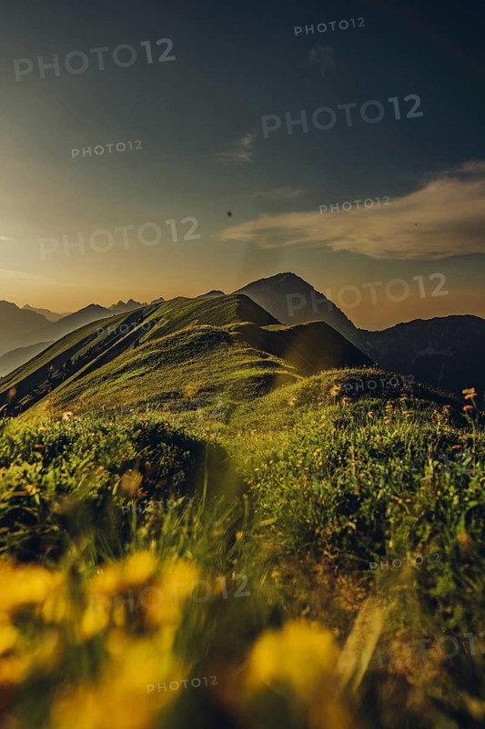 Hiking tour on the Hönig mountain in the Lechtal valley near Berwang in Tyrol, Austria