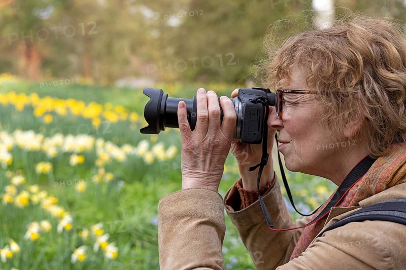 Woman photographing, Osteglocken, Batsford Arboretum, Moreton-in-Marsh, Cotswolds, England, Great Britain