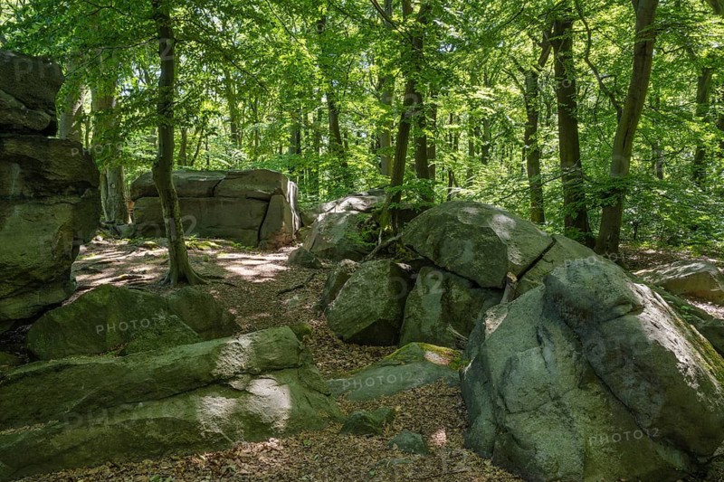 Rocks in green beech forest, Ore Mountains, Czech Republic, May 2024