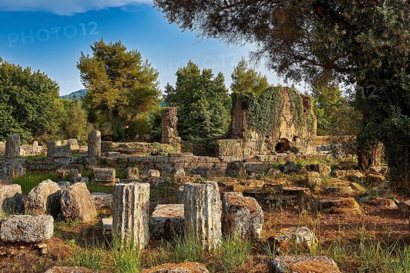 Buleuterion, Ancient ruins surrounded by trees, partly overgrown by plants, Archaeological Site, Ancient Olympia, Olympia, Peloponnese, Greece