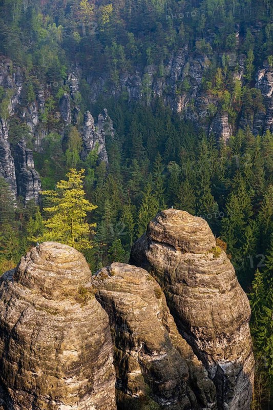 Sandstone formations in late light at the Bastei rocks near the village of Rathen in Saxon Switzerland National Park, Saxony, Germany