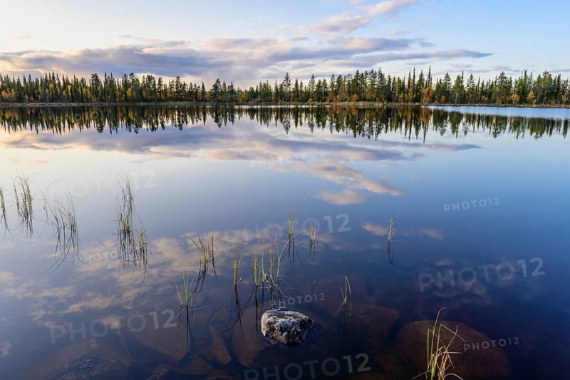 Cloud reflection in a forest lake, Norrbotten, Lapland, Sweden, September 2019