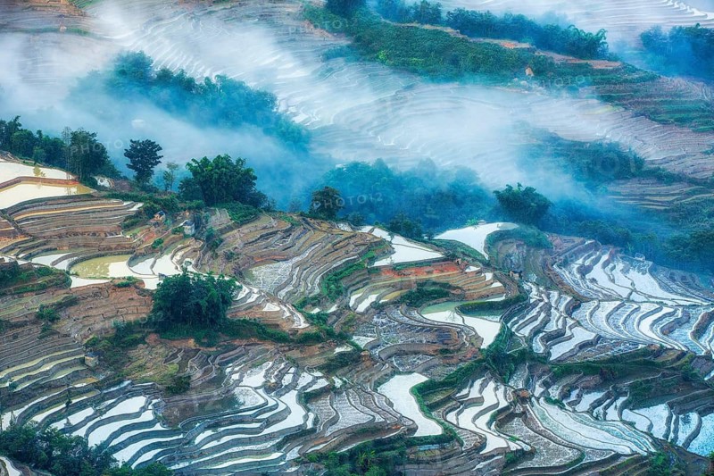 Celestial Stairs — The Yuanyang Rice Terraces in Yunnan, China, carved by the Hani people over 1, 300?years, form a UNESCO-listed landscape covering about 16, 603?hectares (166?km²), stretching from roughly 140?m to 2, 940?m in elevation, with over 3, 000 terraced steps in the main scenic areas, where water, light, and tradition exist in perfect harmony between humans and nature