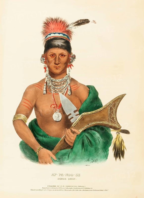 Ap-Pa-Noo-Se. Saukie Chief (1836), Indians, Historical Indian tribes from North America, Charles Bird King (1785, 1862), Historical, digitally restored reproduction from a 19th century original, Record date not stated