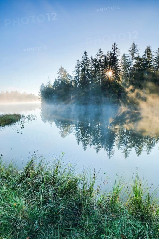 Rays of sunshine make their way through forest and fog at the mirror-smooth moorland lake Étang de la Gruère in the canton of Jura, Switzerland