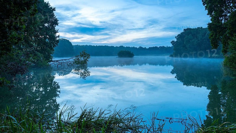 Daybreak with fog at blue hour in the Ahlhorner Fischteiche nature reserve of the Lower Saxony State Forests, Ahlhorn, Lower Saxony, Germany
