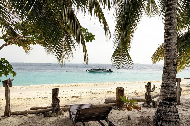 Serene beach view in Raja Ampat, Indonesia, showcasing palm trees framing a turquoise sea with a traditional boat