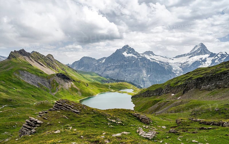 Mountain landscape with Bachalpsee mountain lake, Mittelhorn peaks and Schreckhorn with upper Grindelwald glacier, Bernese Alps, Bernese Oberland, Switzerland
