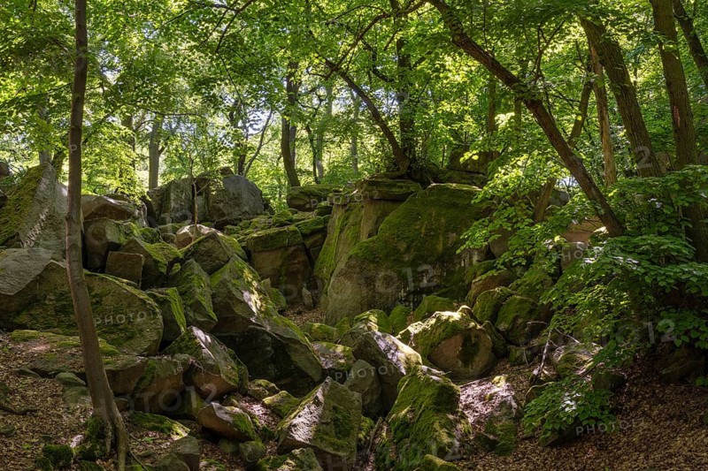 Rocks in green beech and linden forest, Ore Mountains, Czech Republic, May 2024