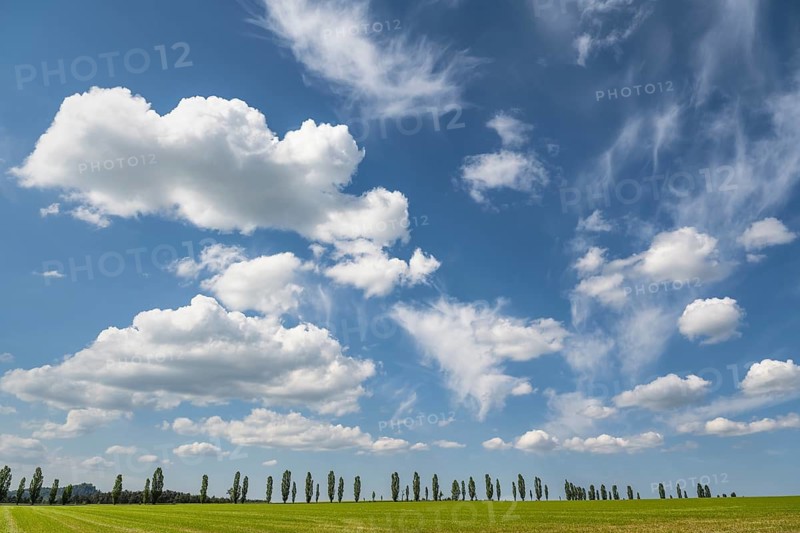 Cloudy sky over a row of poplars, flatness, Saxon Switzerland, Saxony, Germany, May 2024
