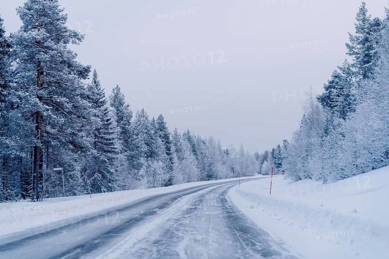 A tranquil winter scene in Swedish Lapland, featuring a snowy road winding through frost-covered trees under a cloudy sky, capturing the serene beauty of a winter landscape