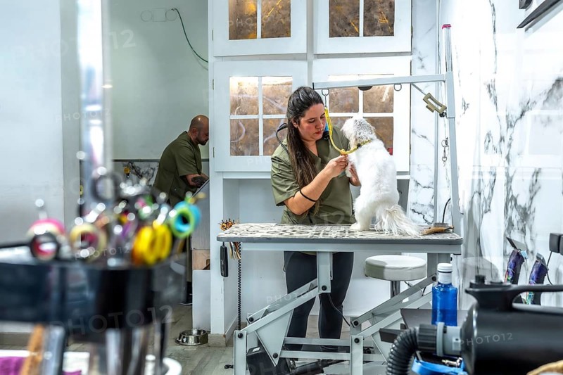 Female groomer trimming a small white dog on an adjustable table in a bright modern pet salon, providing professional grooming, hygiene and pampering for a happy pup