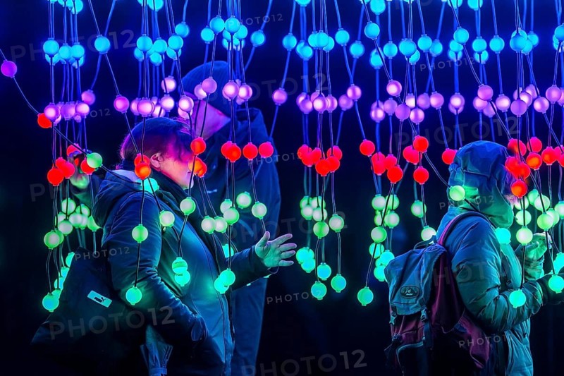 Park lights, winter event, in the Grugapark in Essen, many different light installations, across the park, attract many thousands of visitors, light work of art consisting of many hundreds of hanging ball lamps, LEDs, with changing colors, accessible, North Rhine-Westphalia, Germany