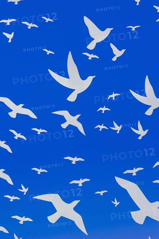 Close-up of backlit white flock of birds In flight theme motifs on blue tinted plexiglass panel canopy inside cocoon rocking chair created by Olivier Landreville, Horizon Art Installation, Ile des Moulins, Old Terrebonne, Quebec, Canada