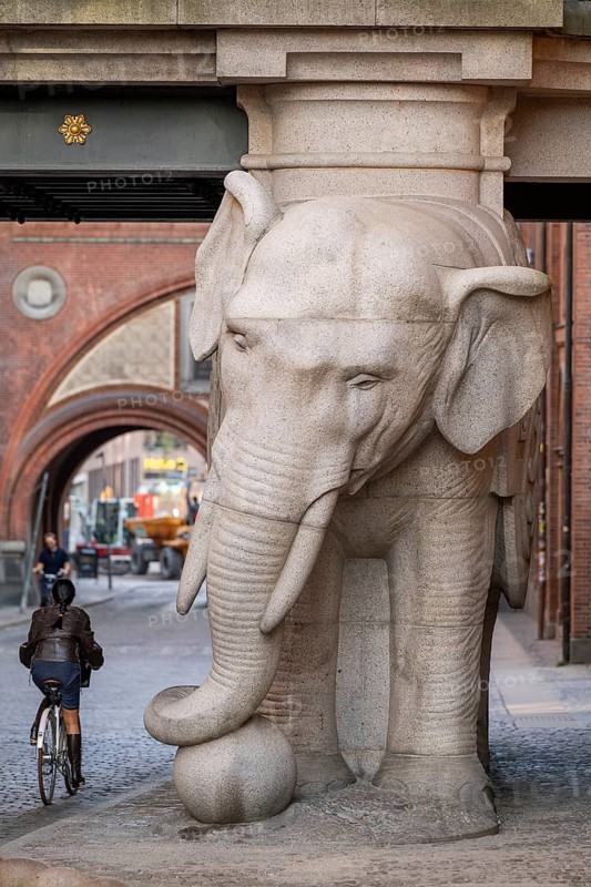 Bicyclist, monumental stone elephant, Elephant Gate or Elephant Portal or Elefantporten, by architect Vilhelm Dahlerup, Carlsberg district, Copenhagen, Denmark
