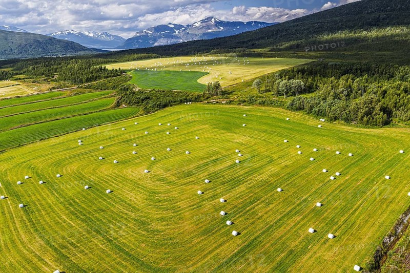 White wrapped hay bales in a green field, snow-covered mountains in the background, aerial view, Lyngen Alps, Norway