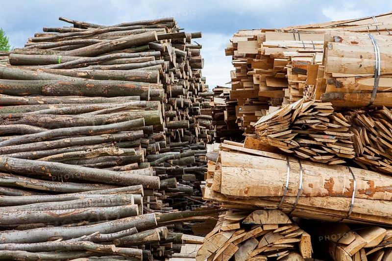 Pile of beech wood, Germany