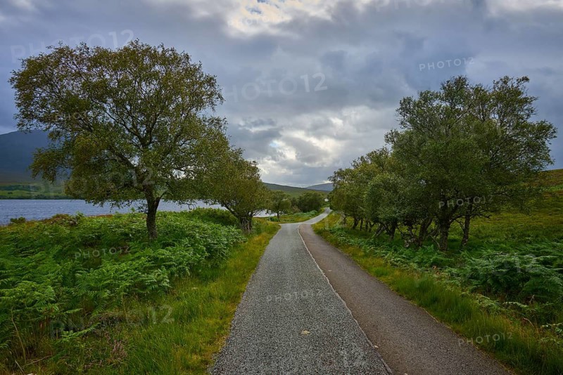 A road follows the lakeside, lined with trees and cloudy sky, conveys peace, Loch Naver, Lairg, Scotland, United Kingdom, Great Britain
