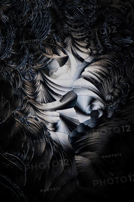 A stunning monochrome micrograph showcasing the intricate patterns and textures formed by Salicylic acid microcrystals. Captured in high detail under a microscope, the image presents a feather-like appearance with a dark dramatic contrast