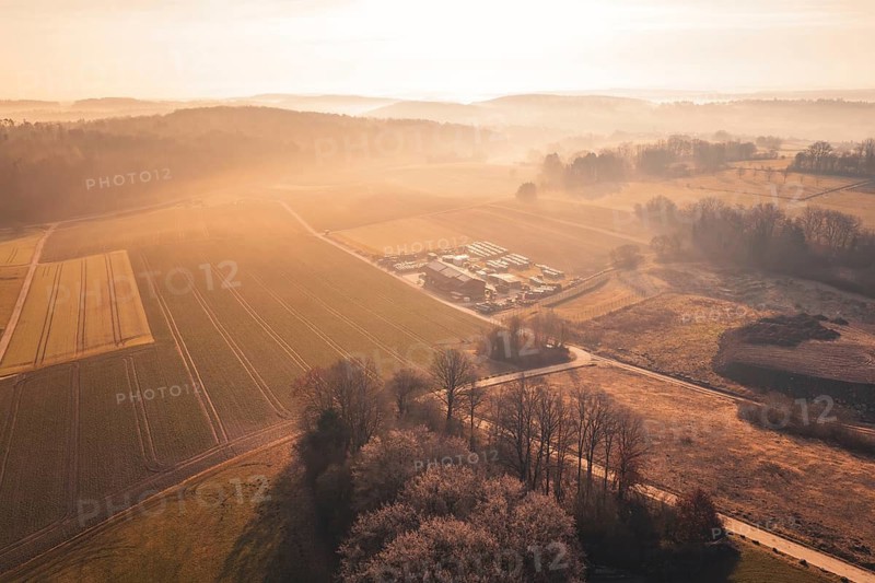 Agricultural fields at dawn with surrounding hills and trees, Grillbox Gechingen, Calw district, Germany