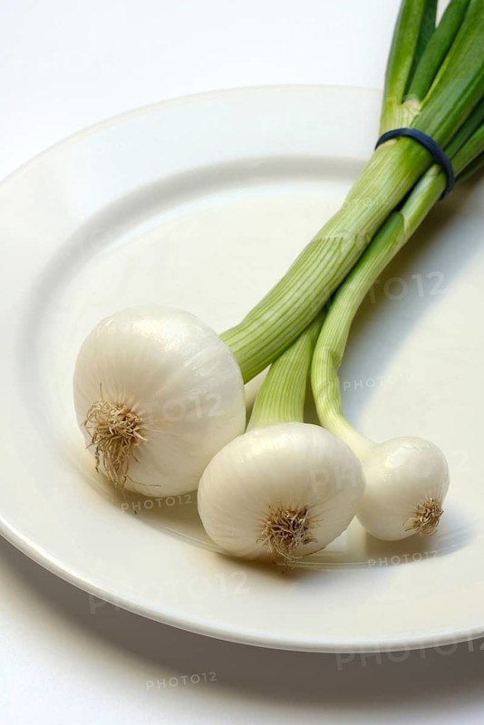 Onion, spring onions on a plate